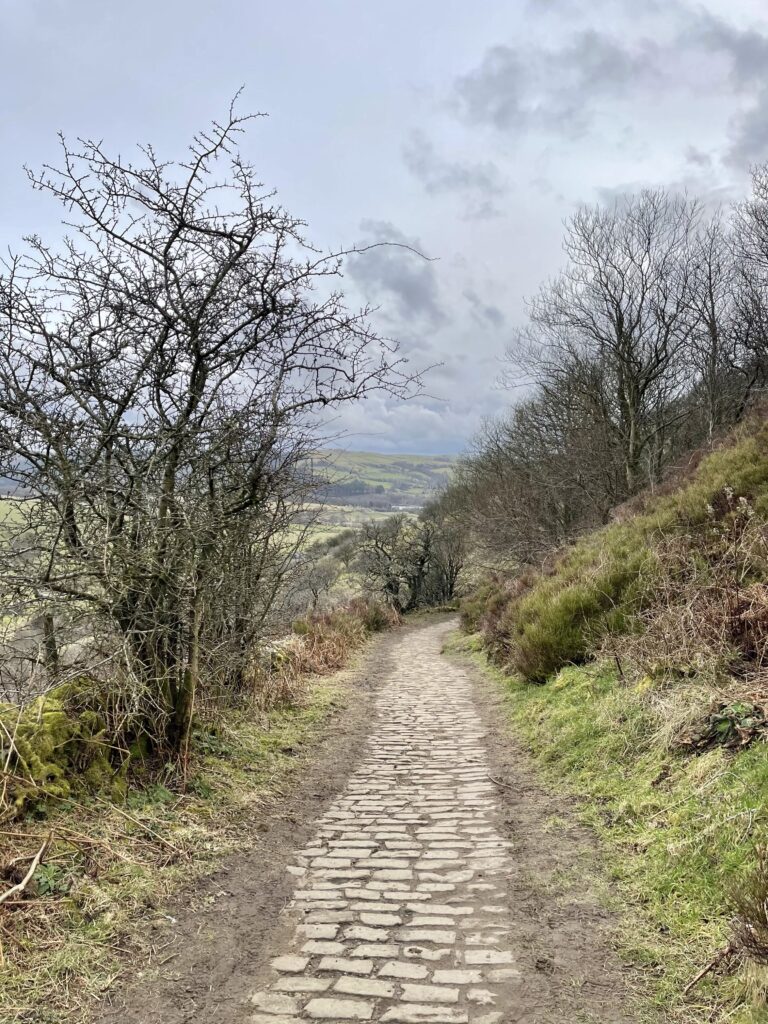 teggs nose