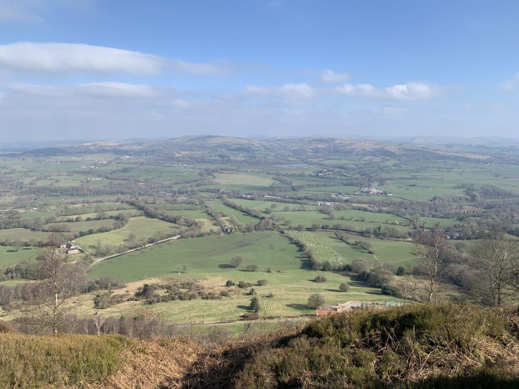 Bosley Cloud